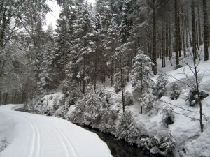 Osterbachkanal