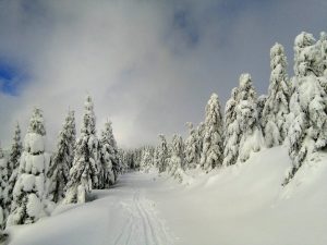 Harrachov