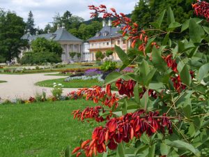 Pillnitz