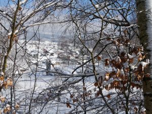 Bayerischer Wald