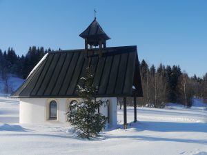 Bayerischer Wald